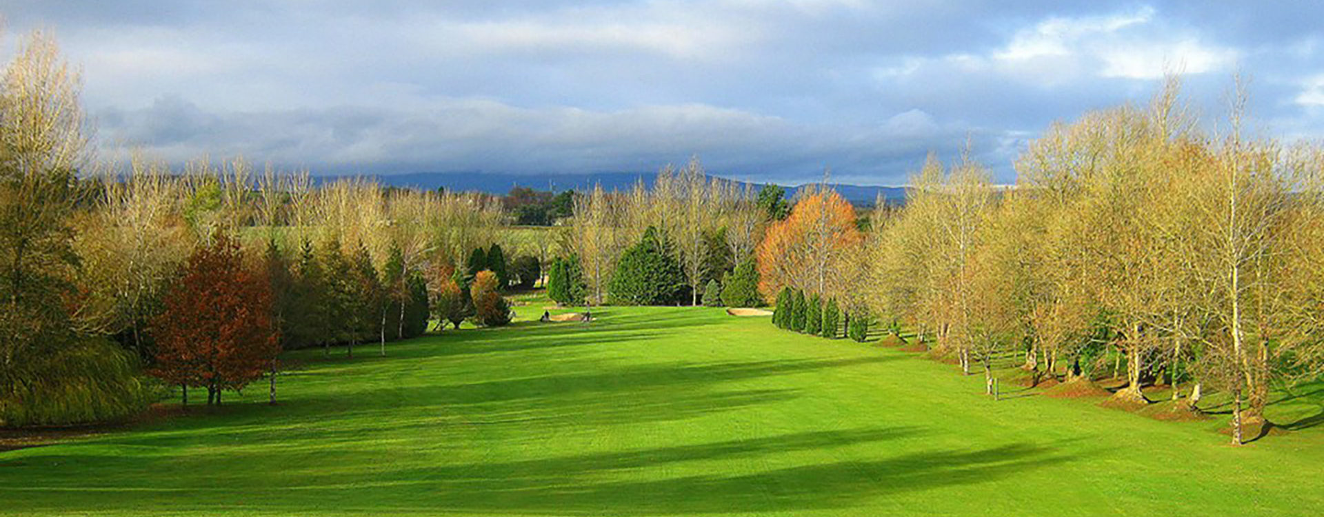 Enniscorthy Golf Club - Club Choice Ireland