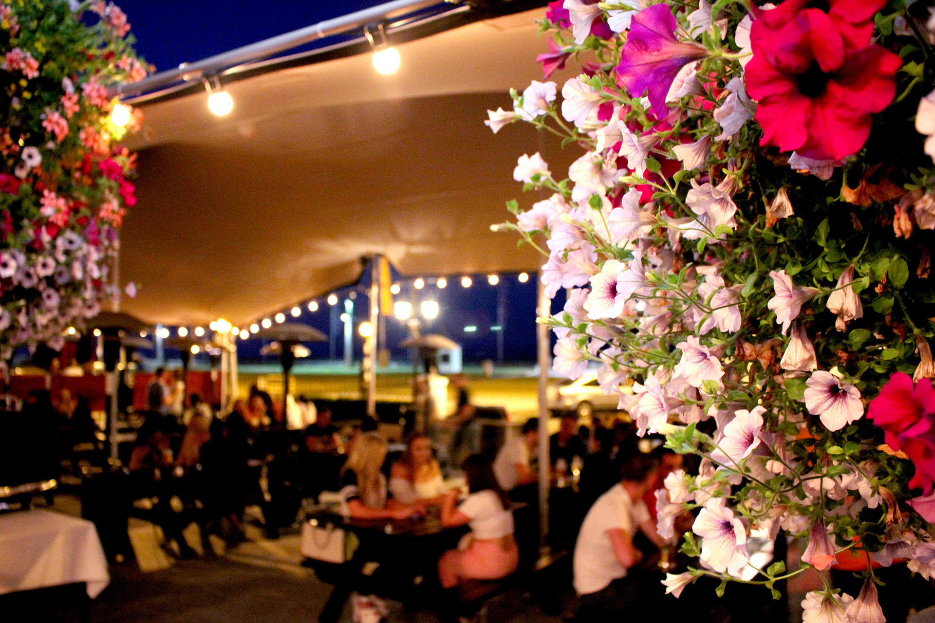 Canopy Club Choice Ireland