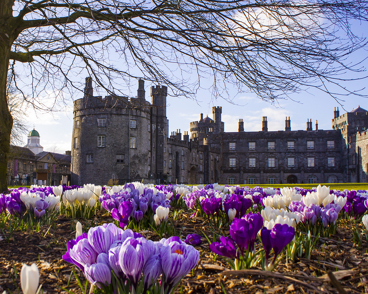 CastleSpring Club Choice Ireland