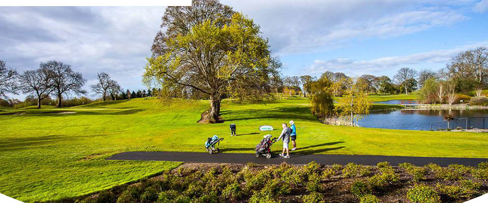 Seniors Mixed Pairs 2019