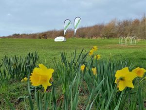 Fourball St David's Day